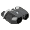 Бинокль BORNER 10X22 Porro BK-7 (B-KB05)