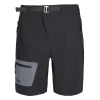 Шорты Remington Sunny day р. 2XL